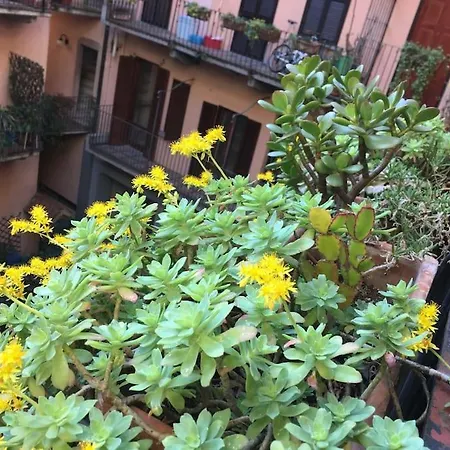 Navigli Charming With Terrace